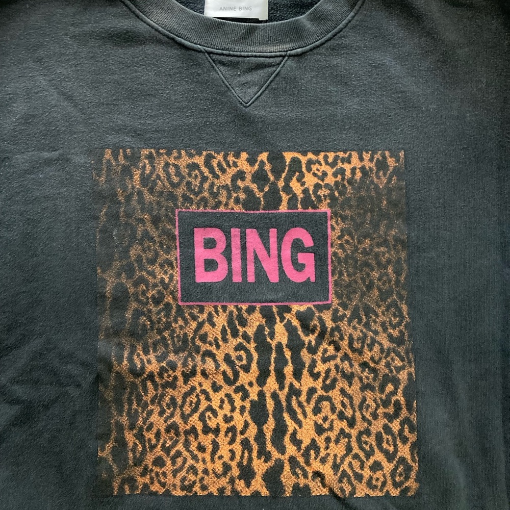 Anine Bing crewneck sweatshirt- price not firm, make an offer!